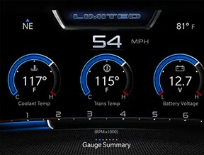 Gauge Summary