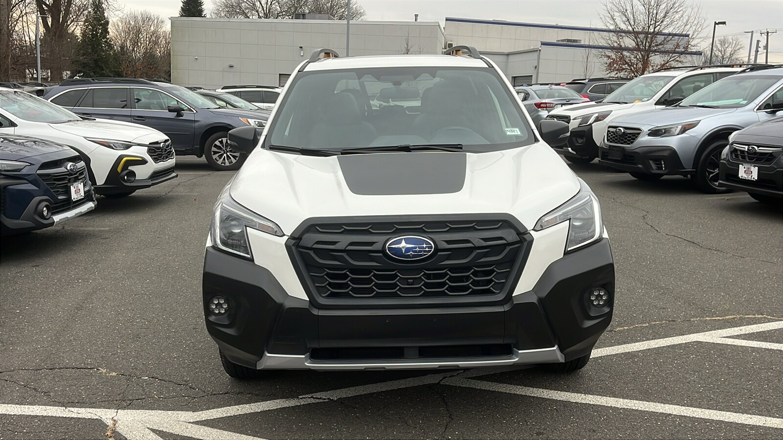 2024 Subaru Forester Wilderness photo 3