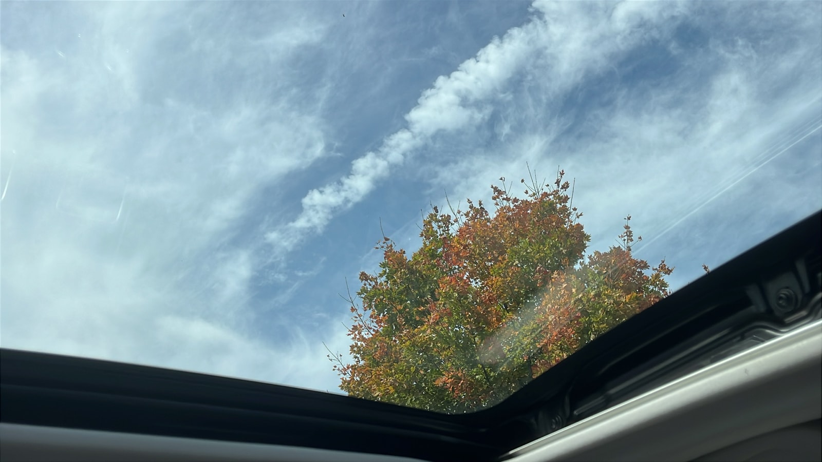 View 25