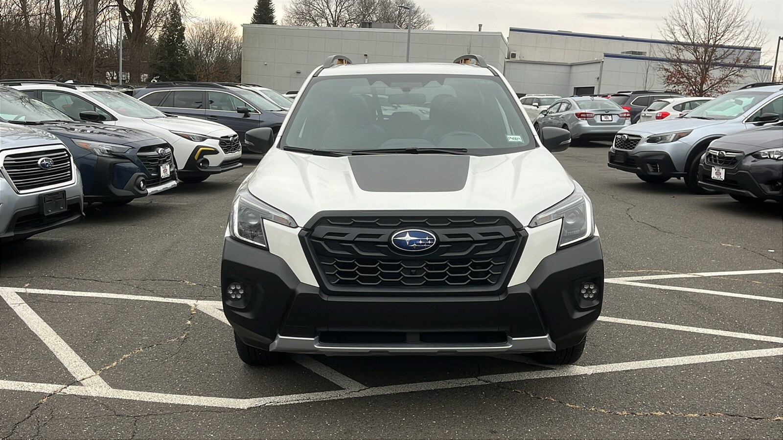 2024 Subaru Forester Wilderness photo 2