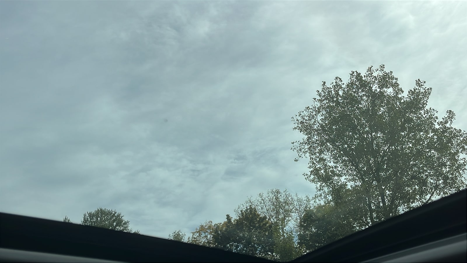 View 25