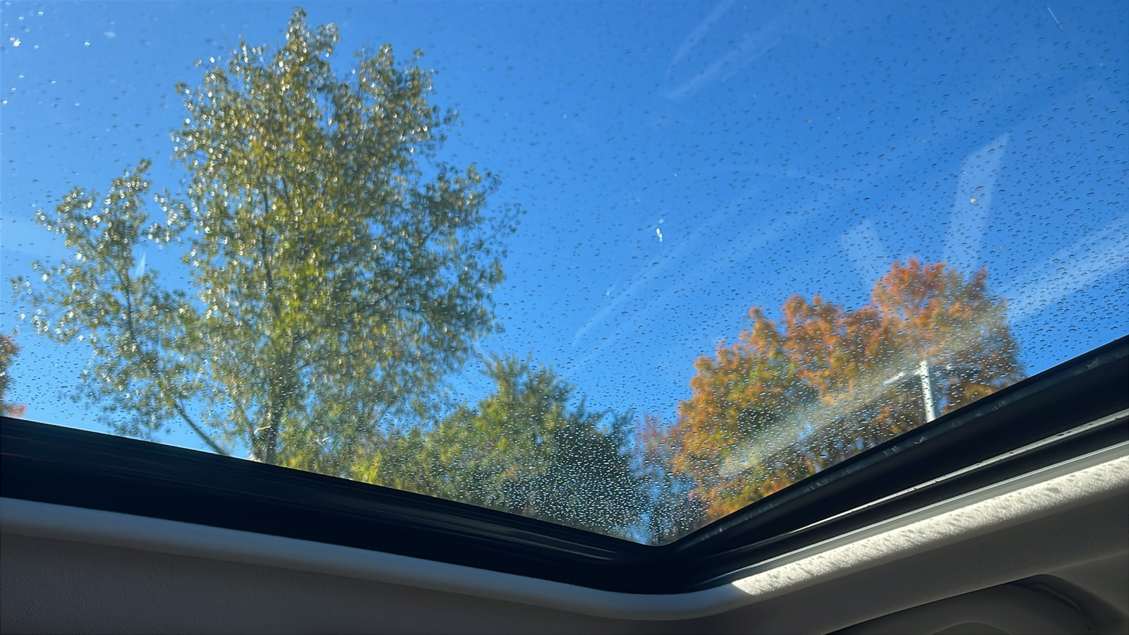 View 24