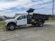 Ford F-450 DUMP