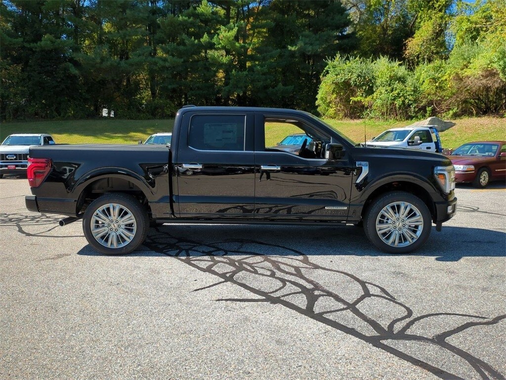 2025 Ford F-150 Platinum photo 2