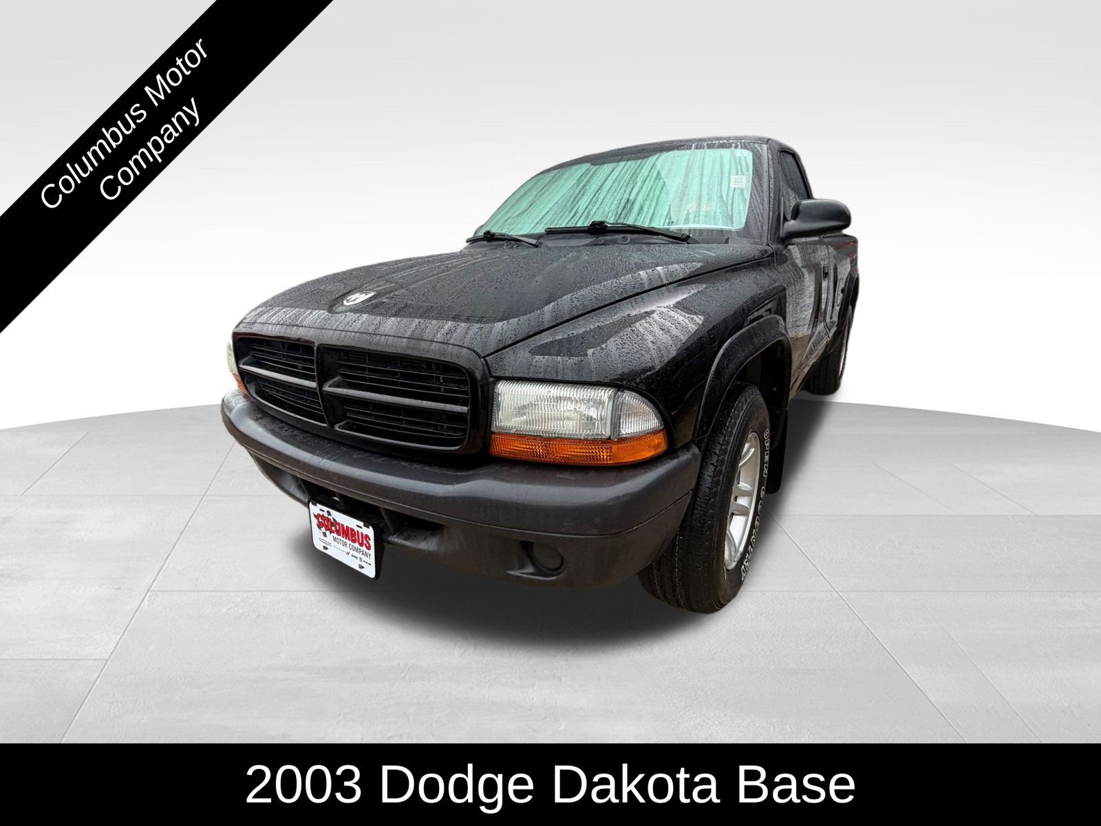 2003 Dodge Dakota's photo