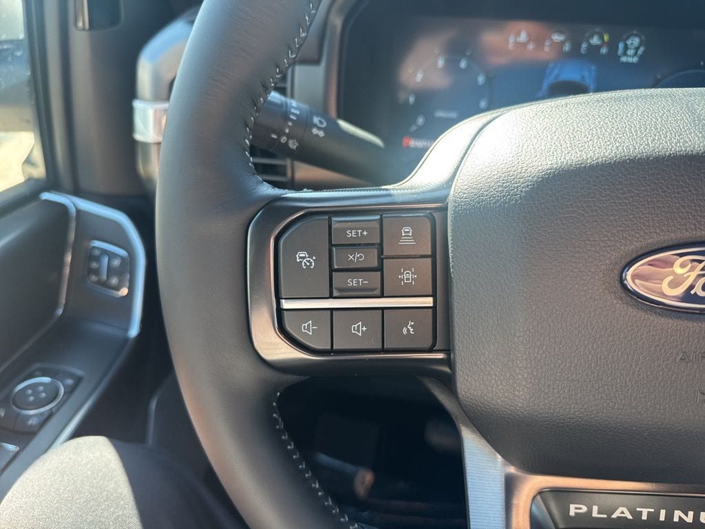 2025 Ford F-150 Platinum - Photo 11