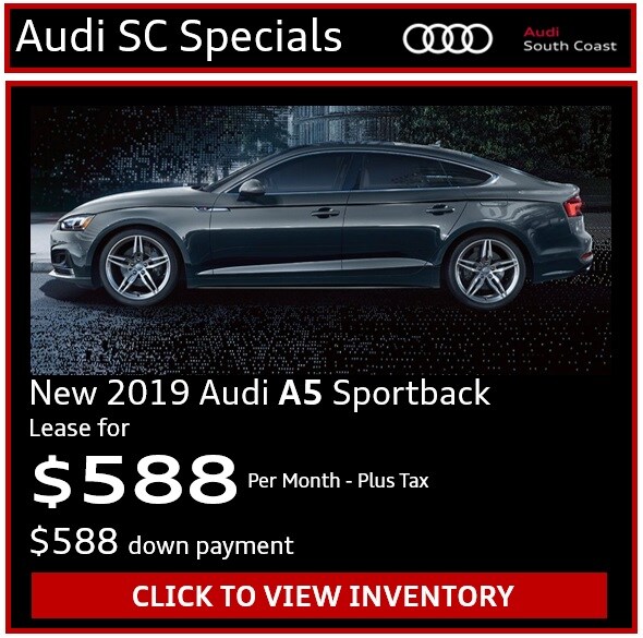 2019A5SB.jpg