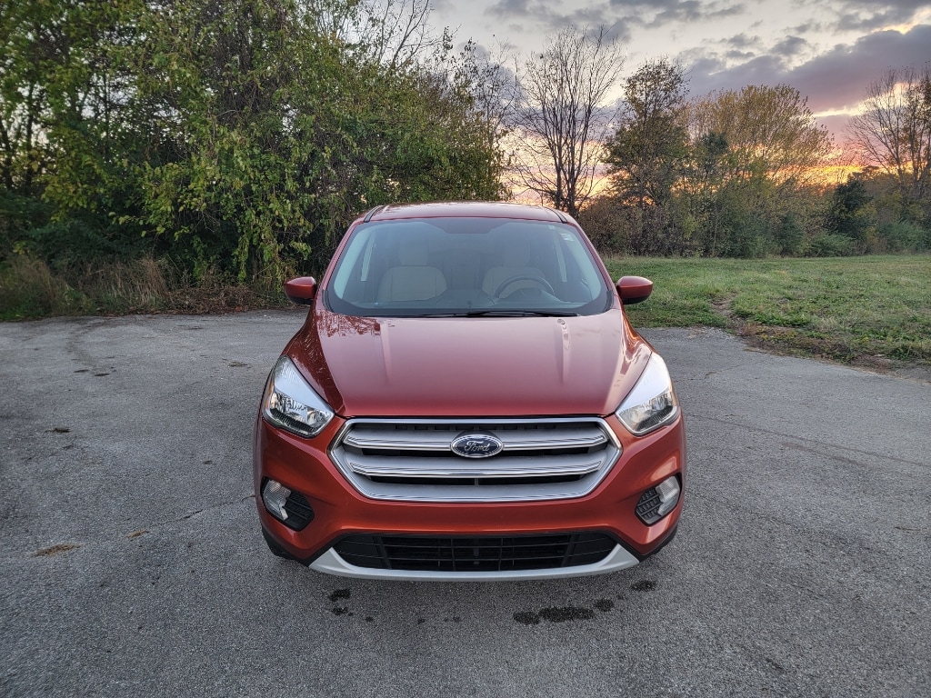 Used 2019 Ford Escape SE with VIN 1FMCU9GD1KUC25081 for sale in Mooresville, IN