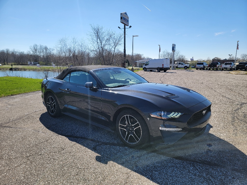 2023 Ford Mustang EcoBoost Premium photo 3