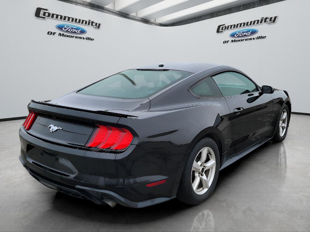 2019 Ford Mustang EcoBoost photo 3