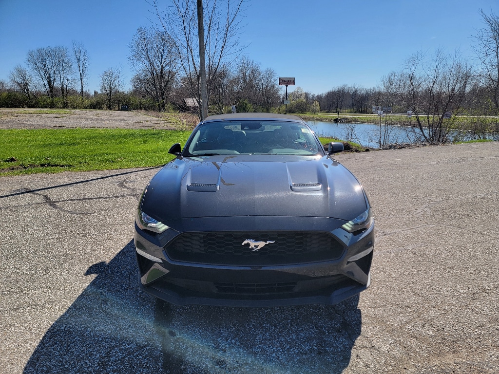 2023 Ford Mustang EcoBoost Premium photo 2