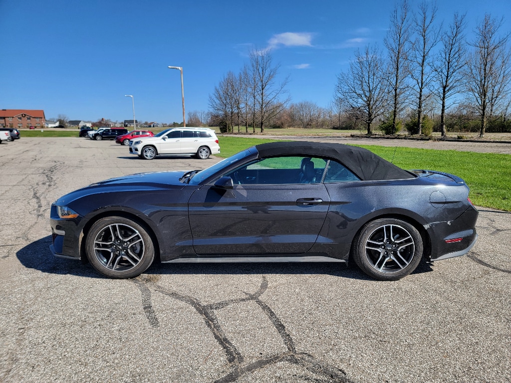 2023 Ford Mustang EcoBoost Premium photo 4