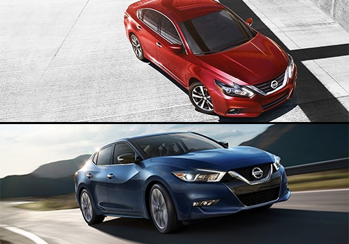Nissan Altima or Nissan Maxima: Which is Best for You?