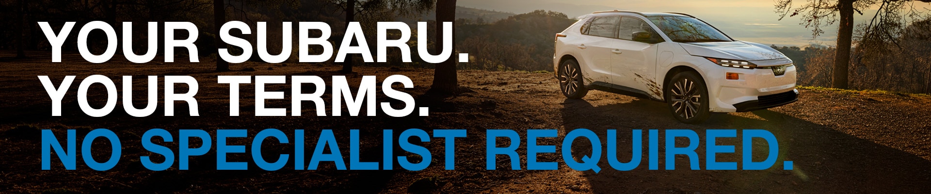 Your Subaru