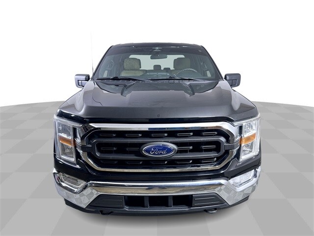 2023 Ford F-150 XLT photo 3