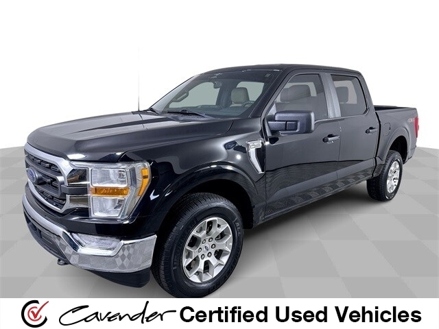 2023 Ford F-150 XL's photo