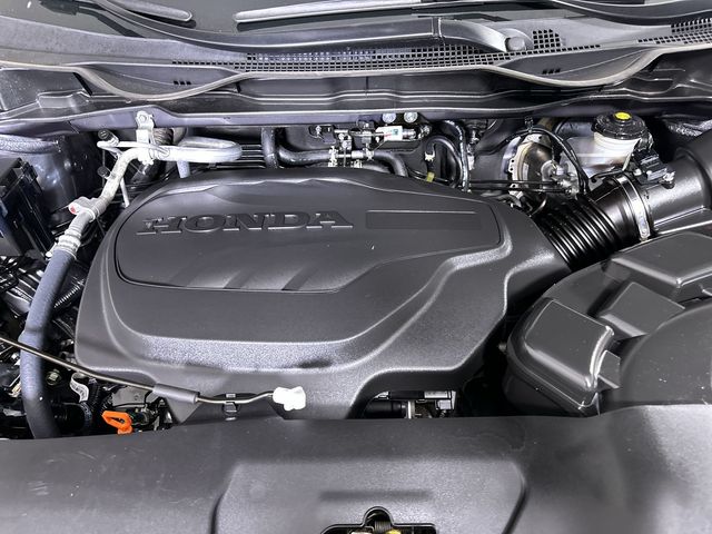 Photo 31