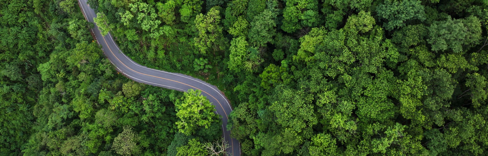 Ford EV Environmental Benefits Guide