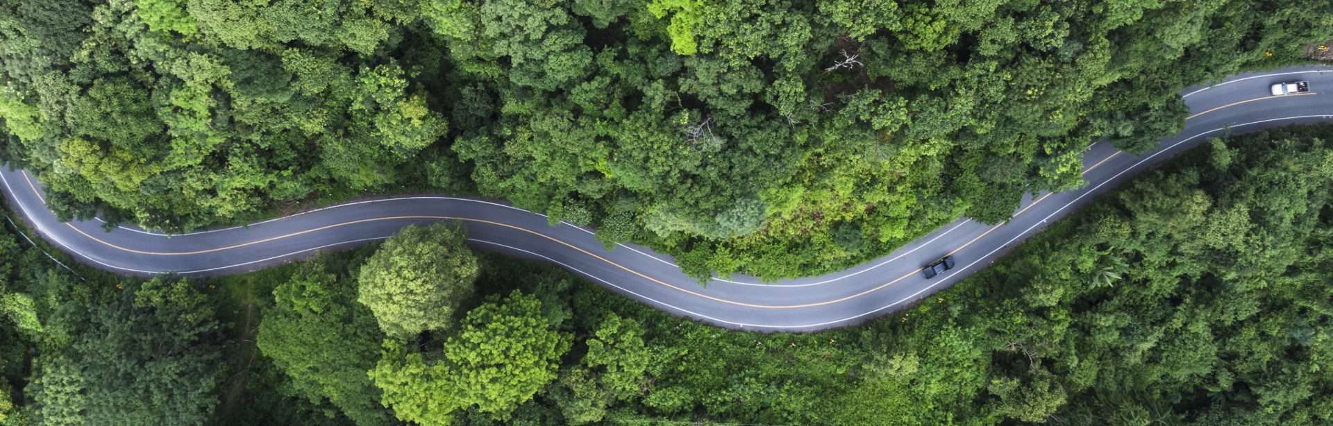 Ford EV Environmental Benefits Guide