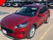 Used 2020 Ford Escape SE SUV