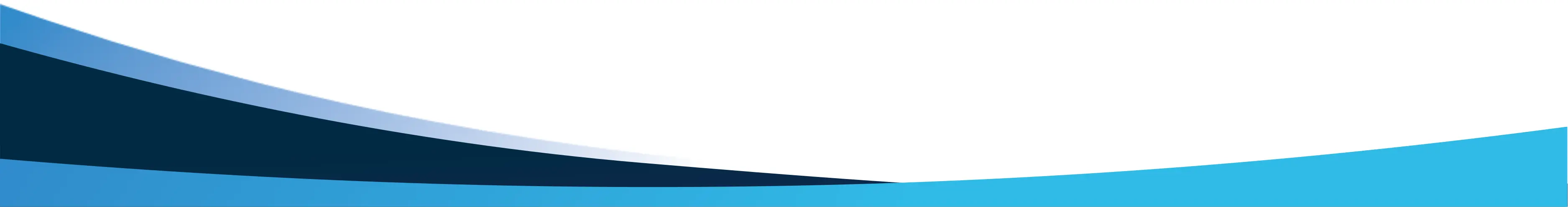 Conicelli Protection Plan Footer