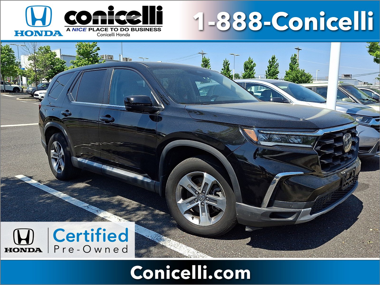 2024 Honda Pilot EX-L 8-Occupant AWD's photo