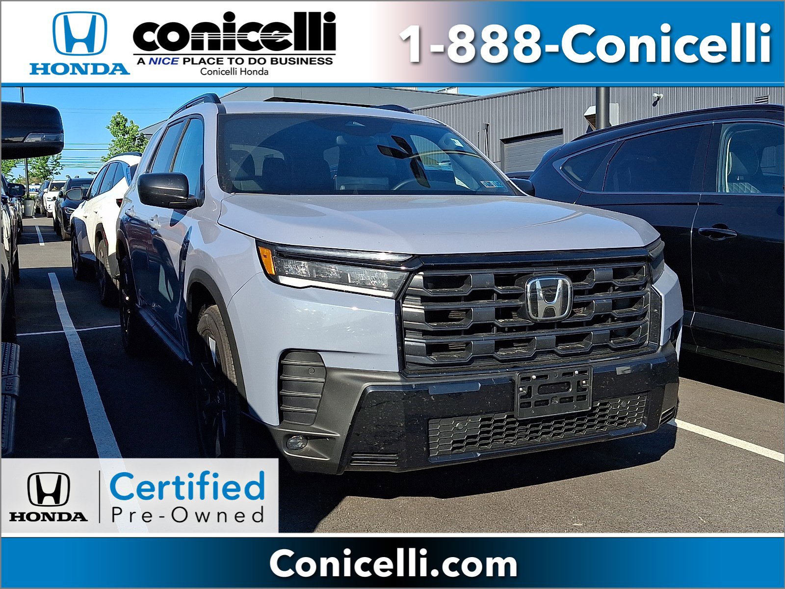 2026 Honda Pilot Sport AWD's photo