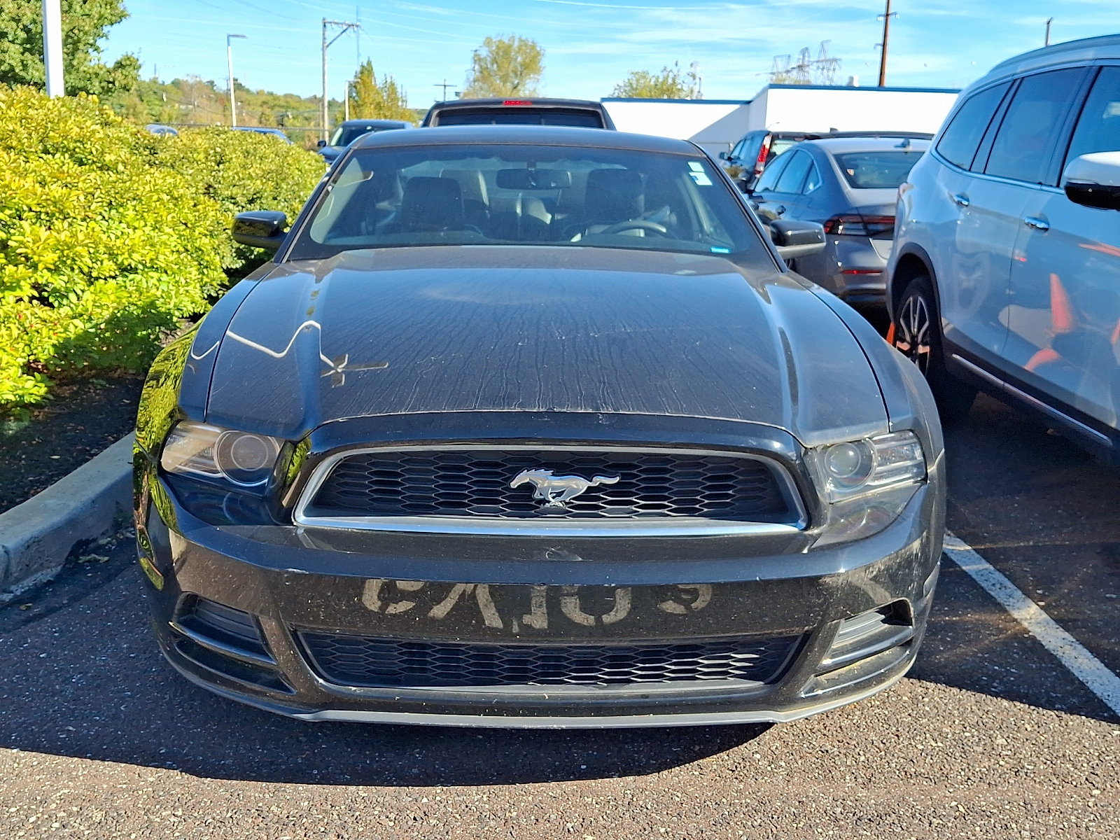 Used 2014 Ford Mustang V6 Premium with VIN 1ZVBP8AM6E5310973 for sale in Conshohocken, PA