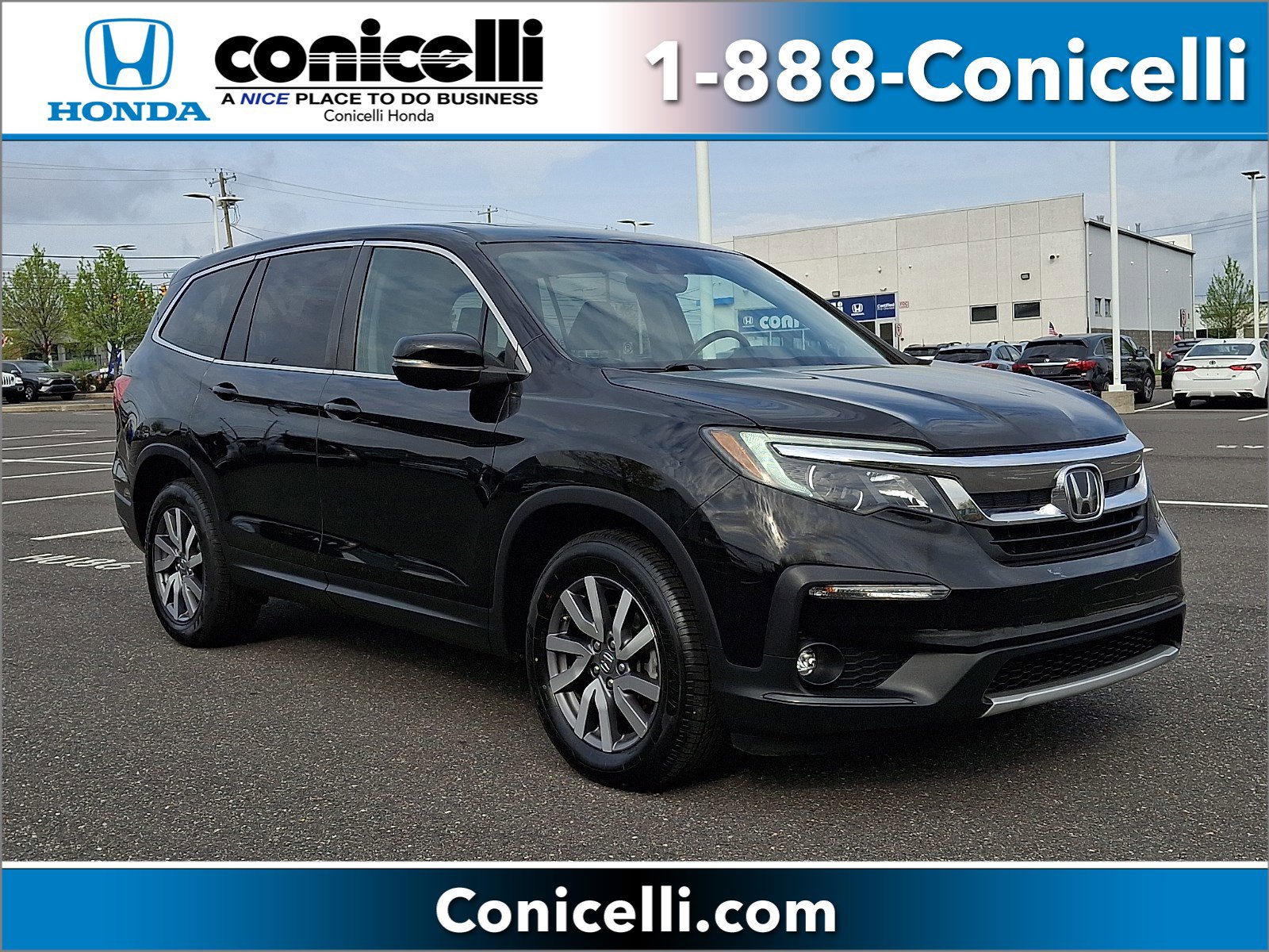 2019 Honda Pilot 4WD EX-L's photo