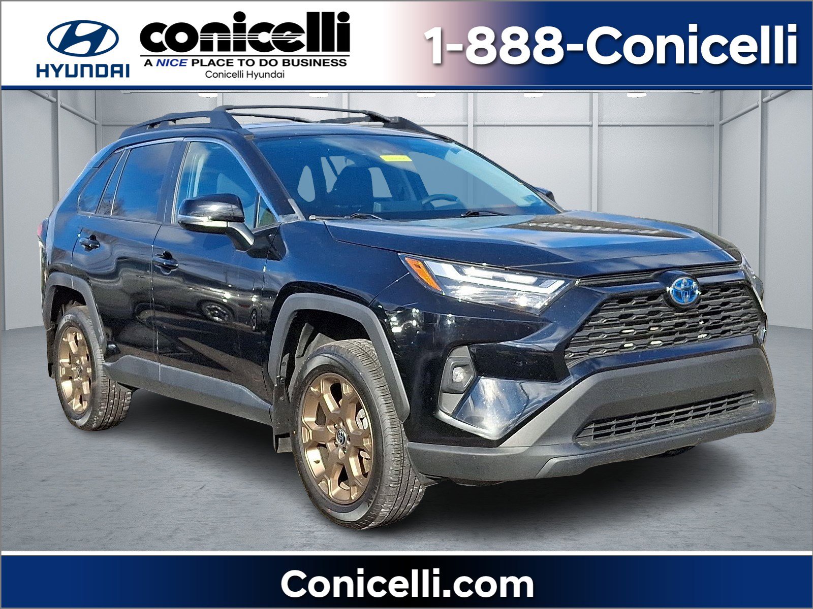 2023 Toyota RAV4 Woodland Edition's photo