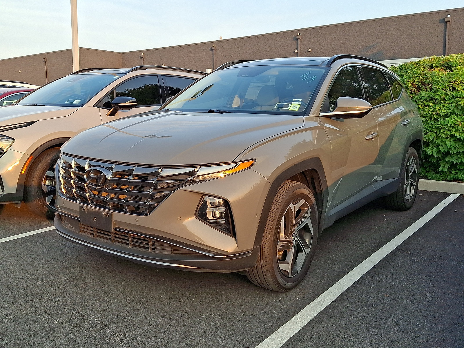 2024 Hyundai Tucson Limited - Photo 3