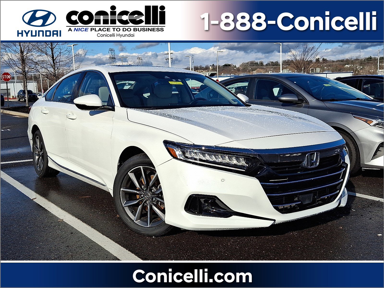 2022 Honda Accord EX-L's photo