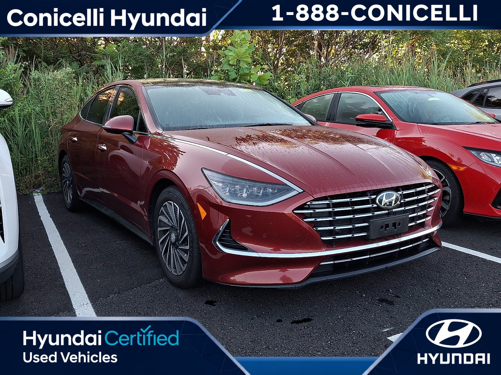2023 Hyundai Sonata Hybrid Sedan 