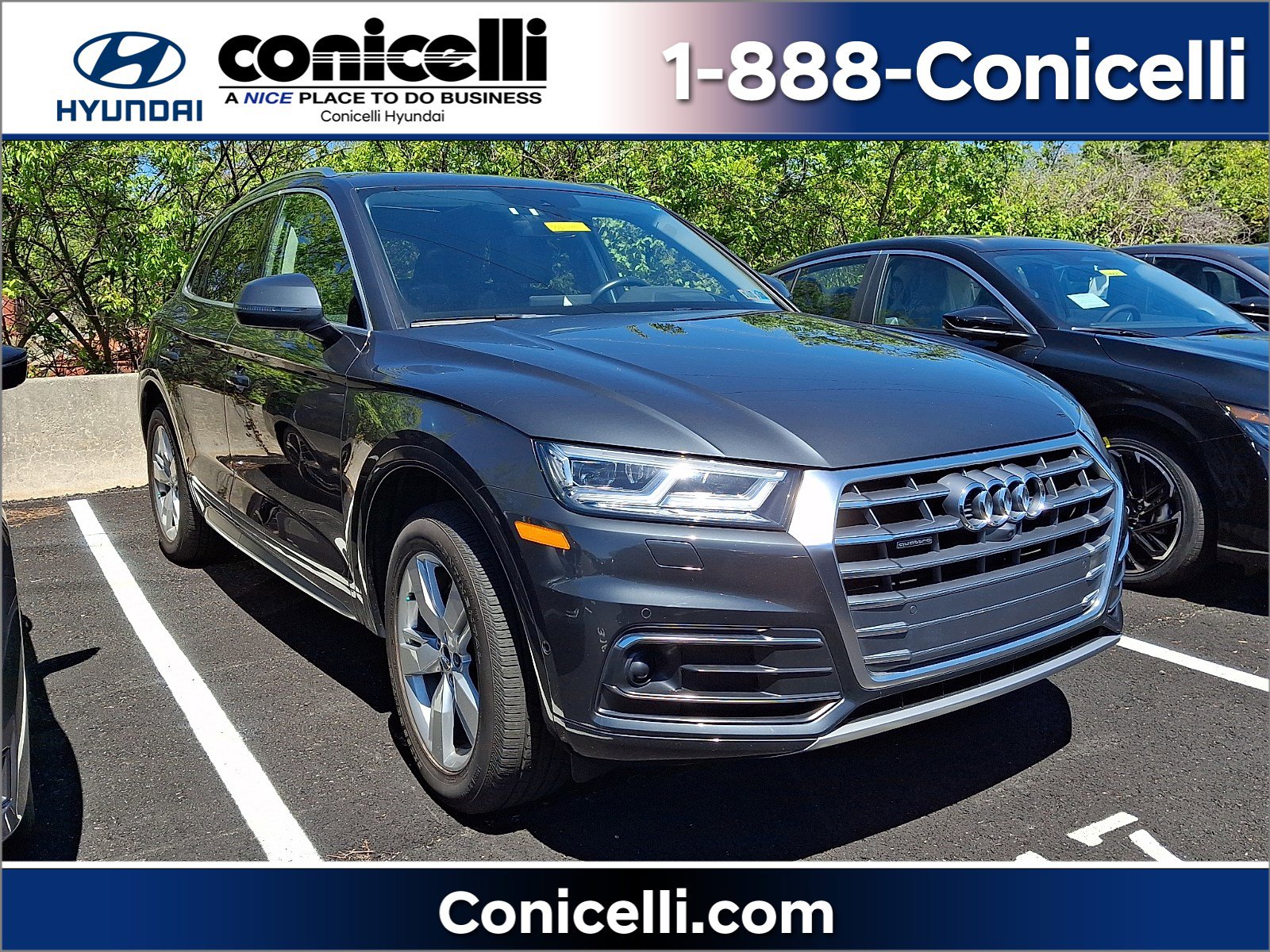 2019 Audi Q5 2.0T quattro S tronic Prestige's photo