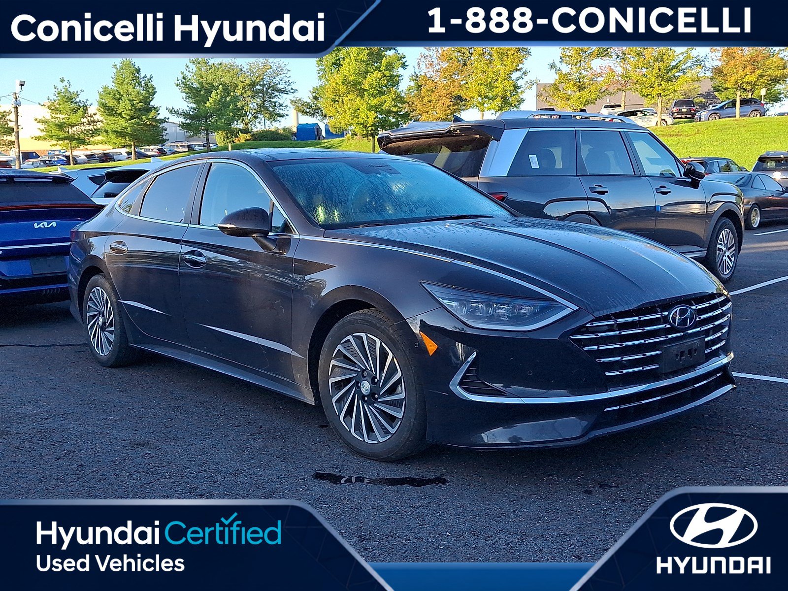 2023 Hyundai Sonata Hybrid Sedan 