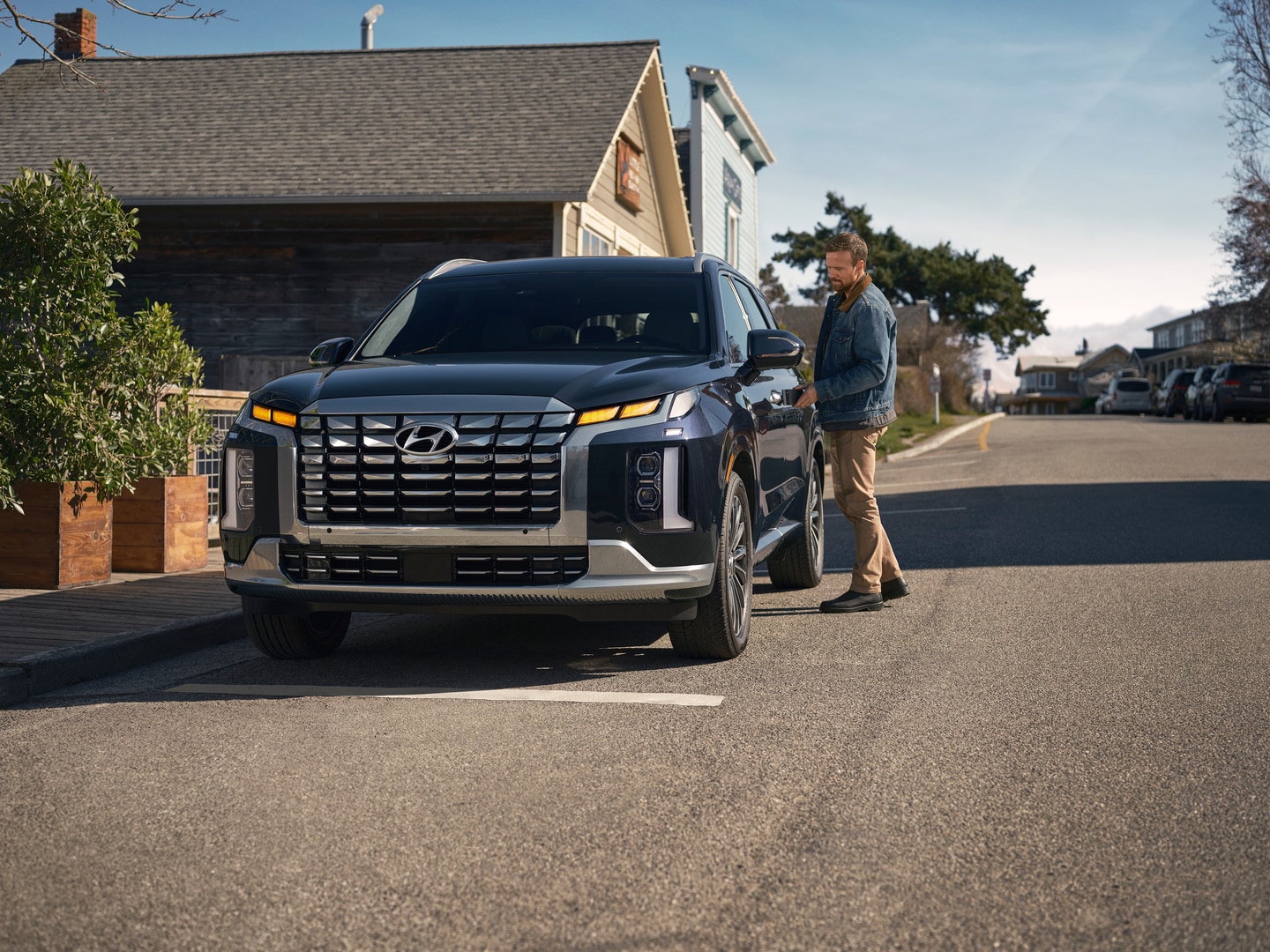 Hyundai-Palisade