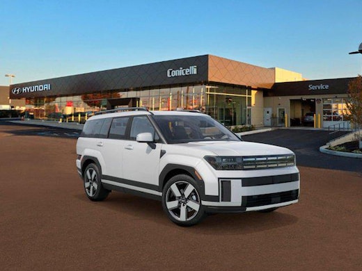 Hyundai Santa Fe Plug-in Hybrid laadkabel & laden (3,3 kW