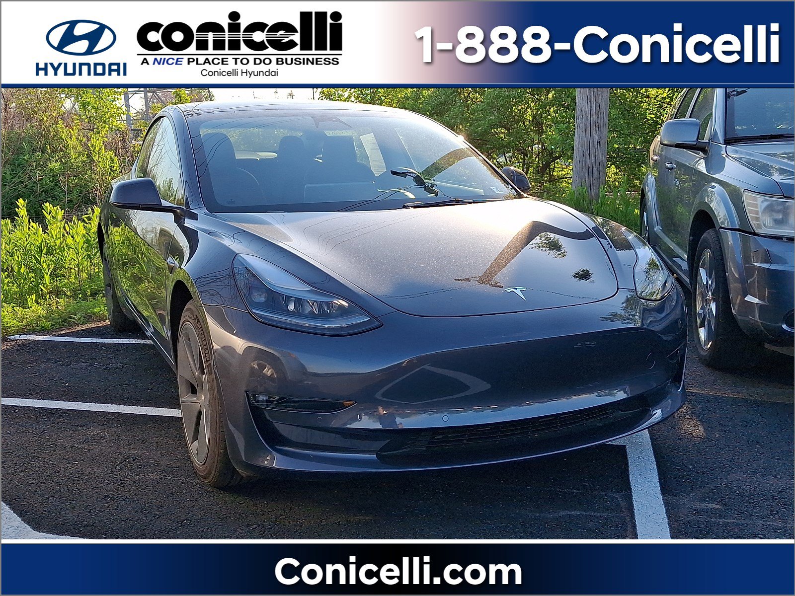 2022 Tesla Model 3 Long Range Dual Motor All-Wheel Drive's photo
