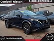  Nissan Ariya