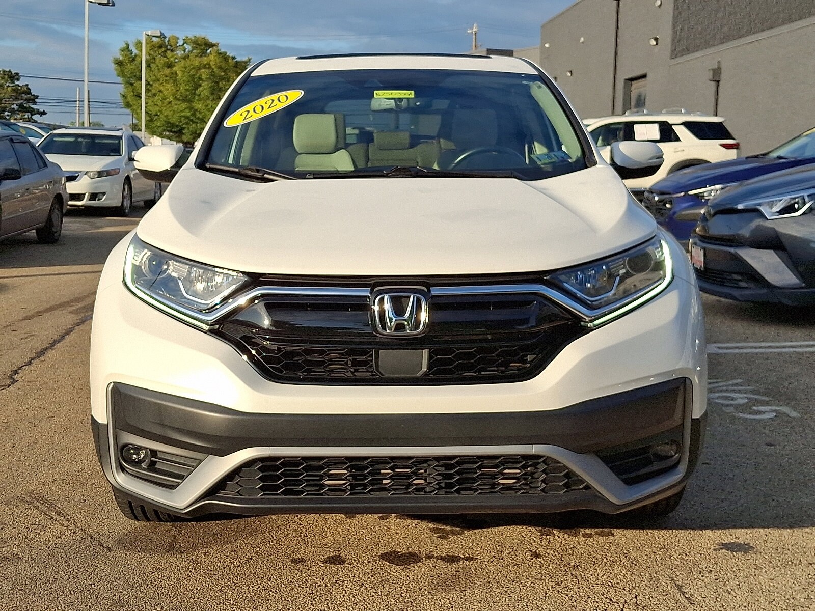 2020 Honda CR-V EX-L photo 2