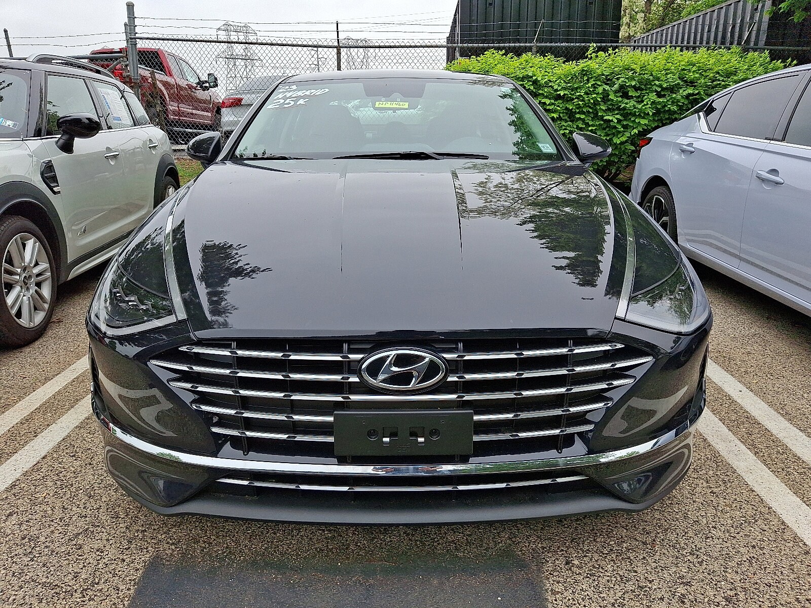 2023 Hyundai Sonata Hybrid Blue photo 2