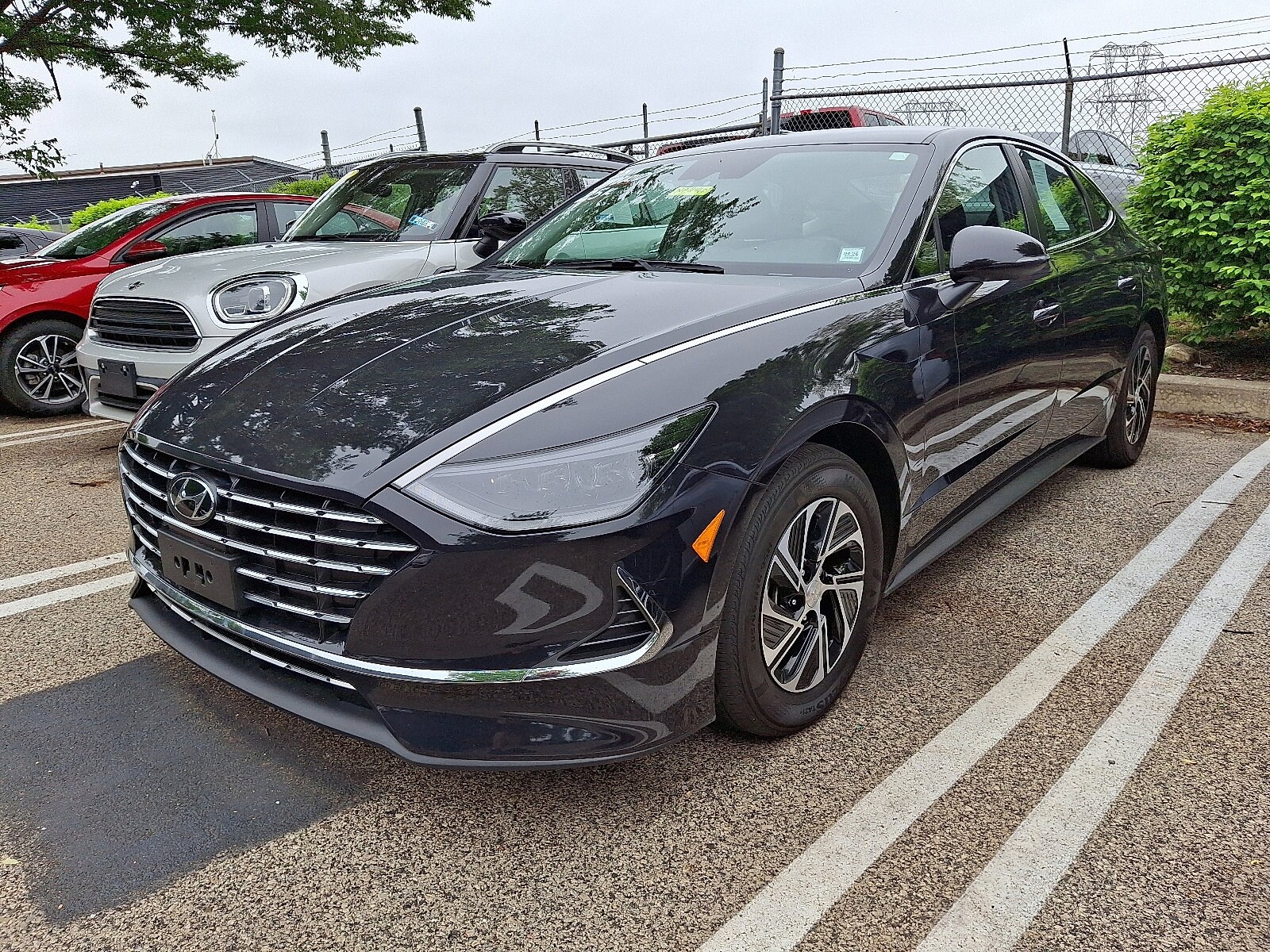2023 Hyundai Sonata Hybrid Blue photo 3