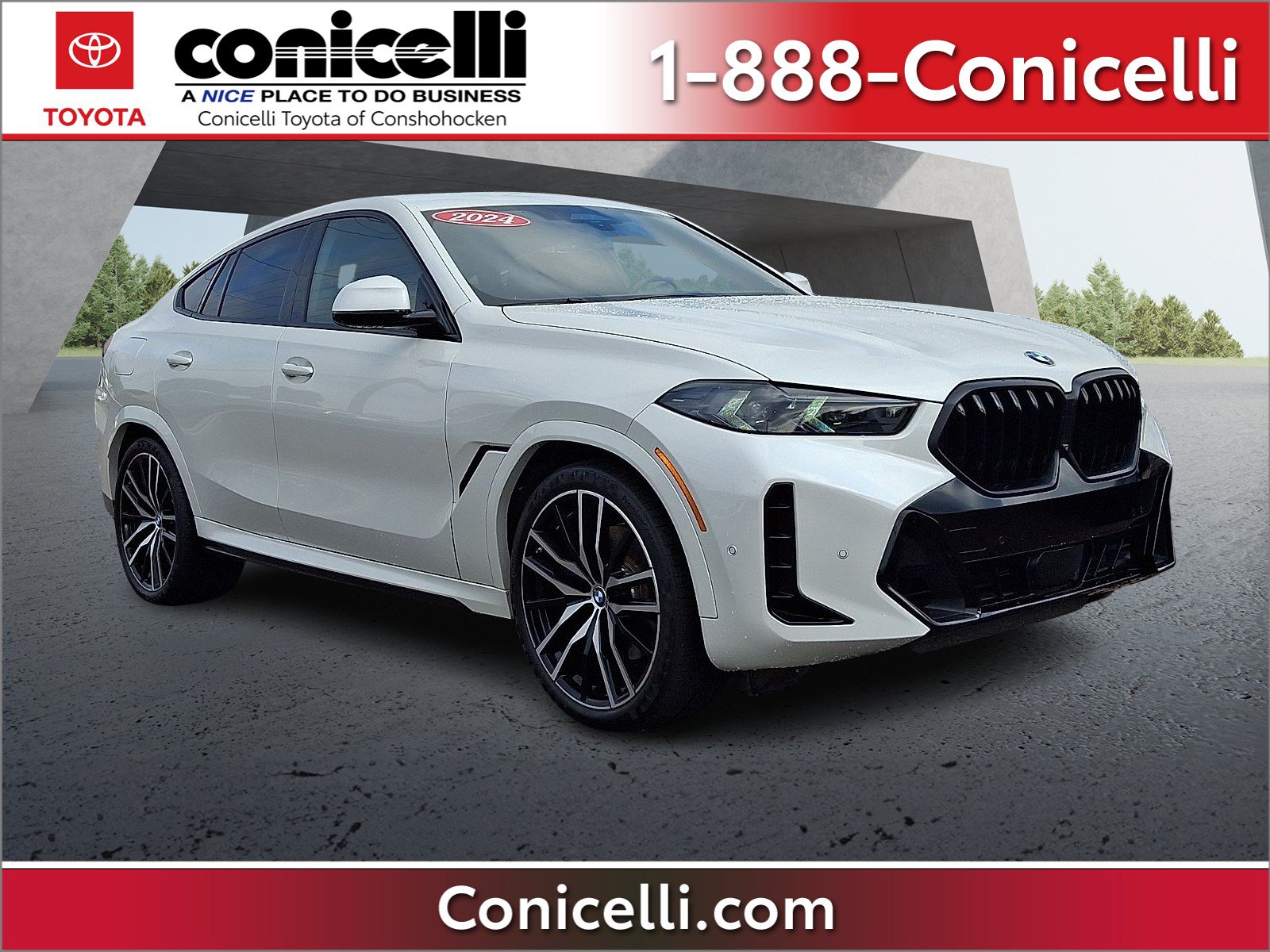 2024 BMW X6