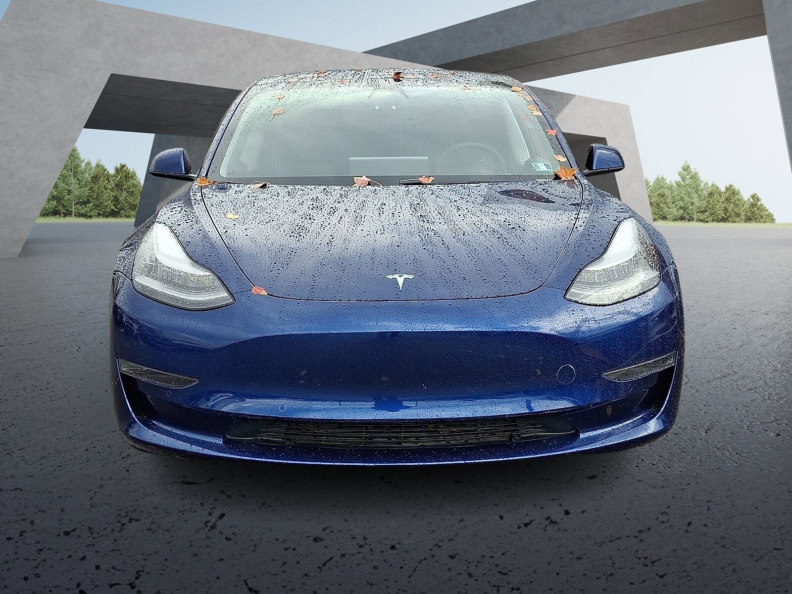 2021 Tesla Model 3 Standard Range Plus photo 2