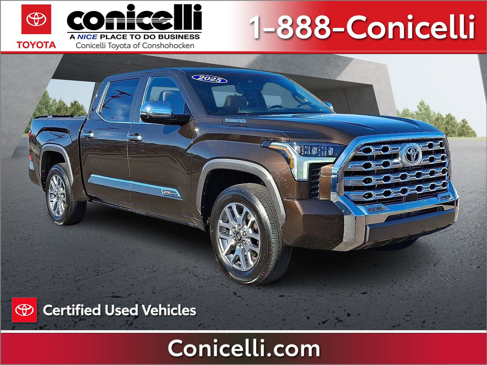 2025 Toyota Tundra 1794 Edition's photo