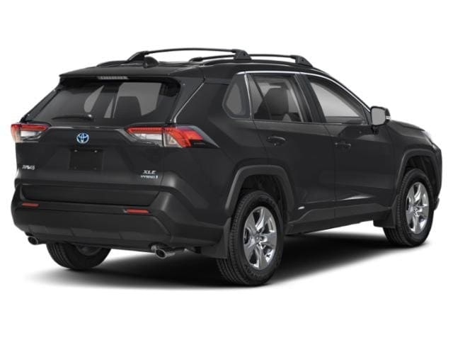 Used 2025 Toyota RAV4 XLE with VIN 4T3RWRFV8SU167444 for sale in Northfield, Minnesota