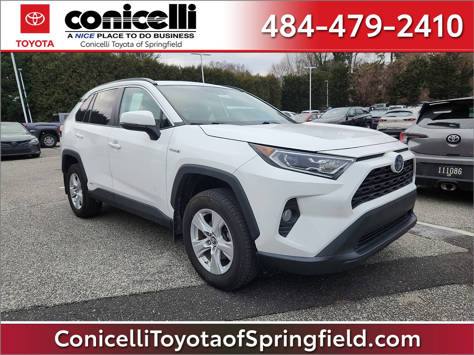 2019 Toyota RAV4 XLE's photo