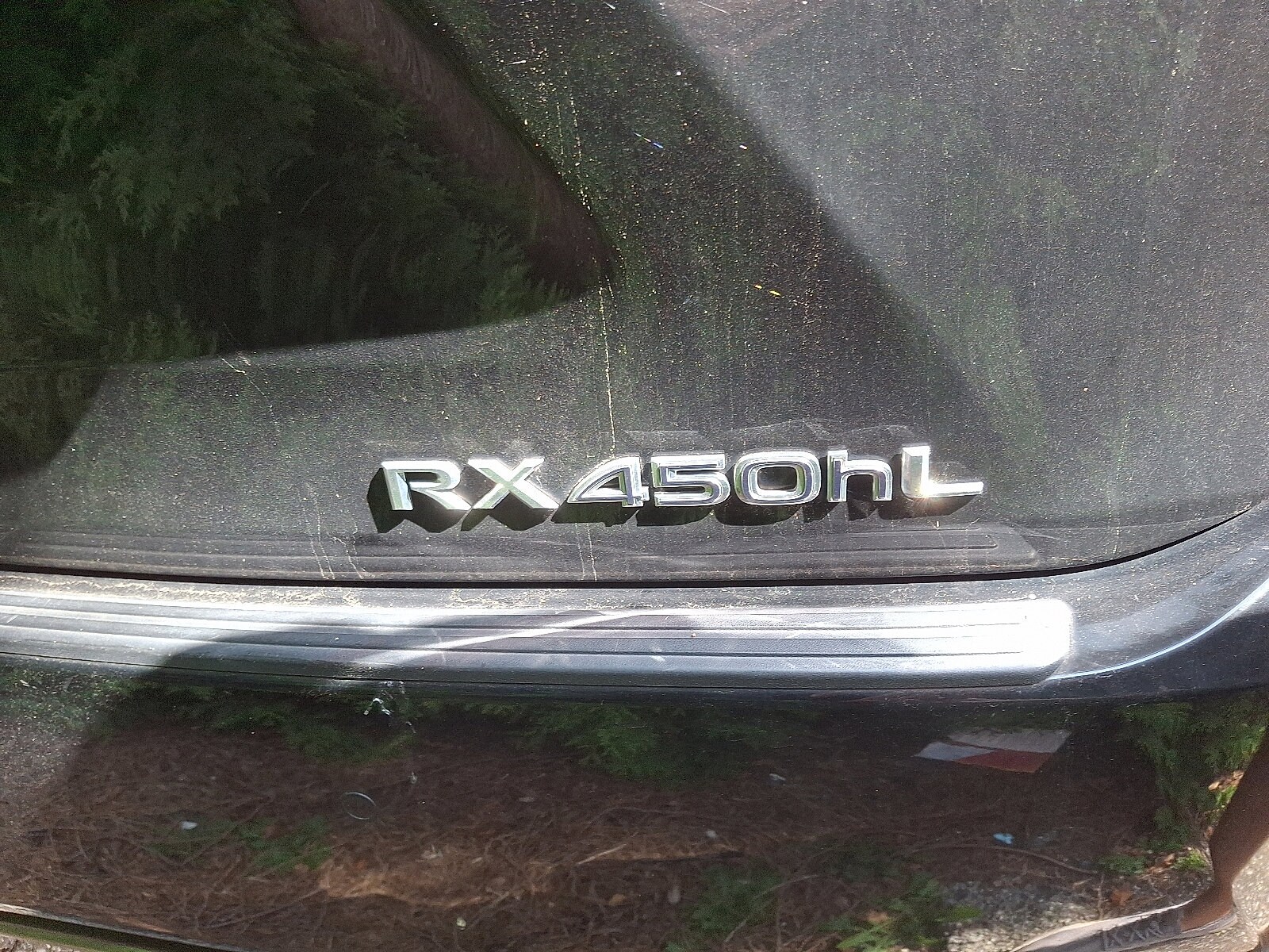 2019 Lexus RX 450hL Premium photo 4