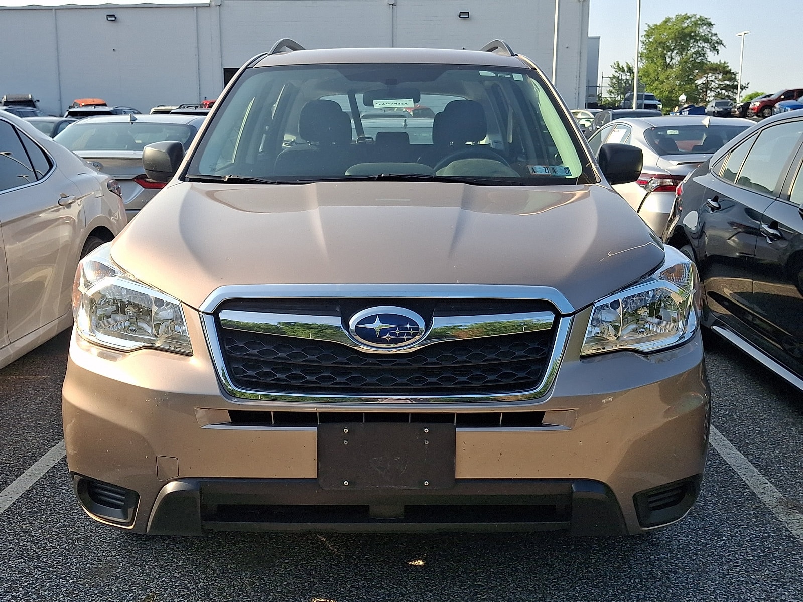 Used 2016 Subaru Forester i with VIN JF2SJABC8GH515263 for sale in Springfield, PA