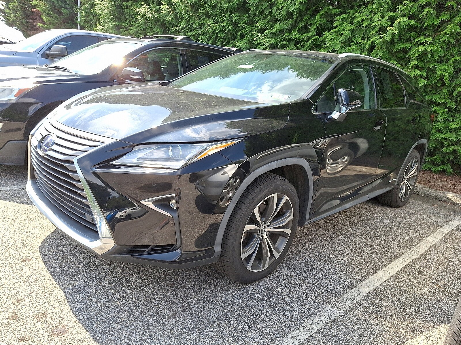2019 Lexus RX 450hL Premium photo 2